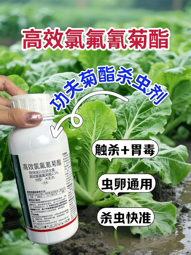 船营代生中心:农药对供卵代生妈妈的危害