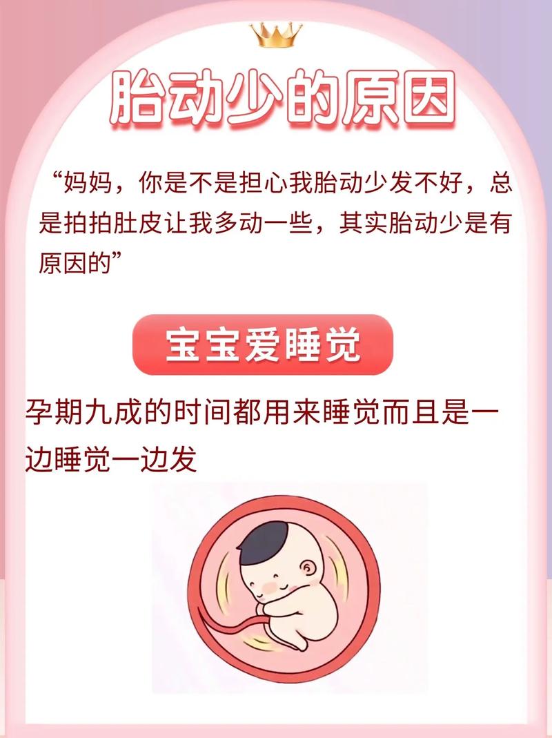 船营借卵代怀:宝宝胎动少怎么回事
